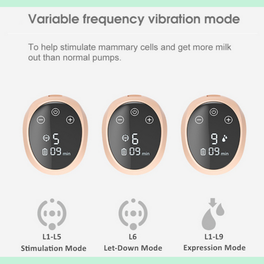 Portable Pump -Pre Order for delivery 30 November