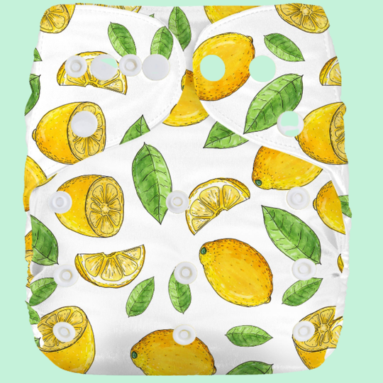 Nappies - Cloth - Reusable