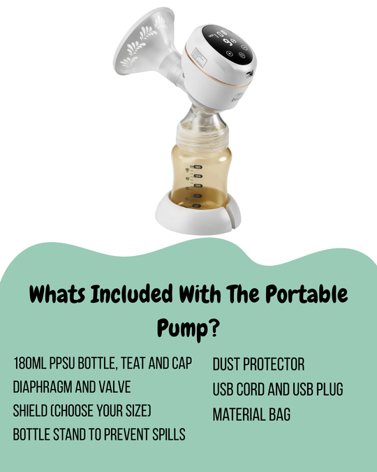 Portable Pump