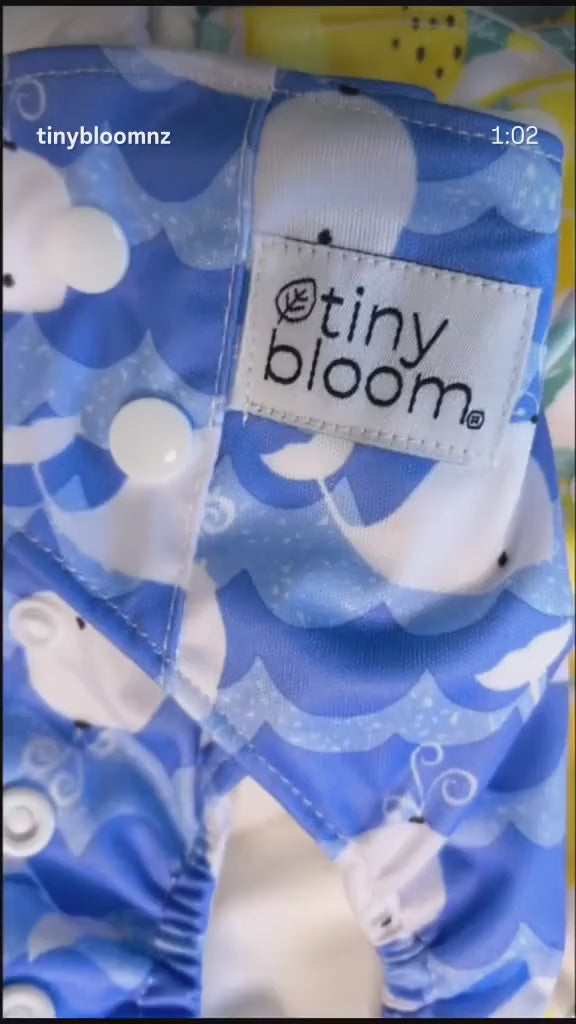 Eco Friendly Nappies